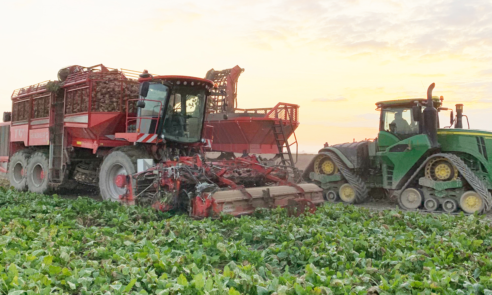 Sugarbeet Harvesting