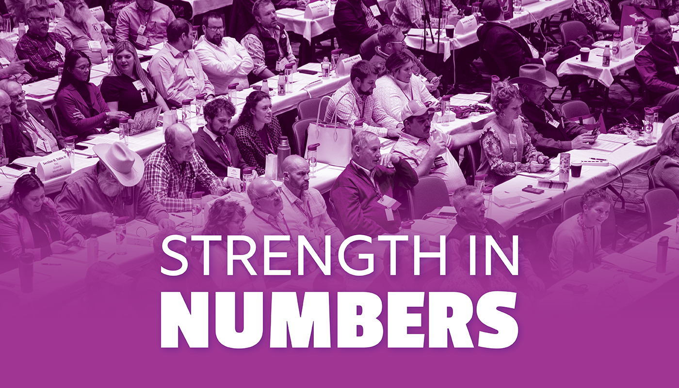 White text reading &quot;STRENGTH IN NUMBERS&quot; against a wide shot of the delegate floor of the MFB State Annual Meeting with a purple filter over it.