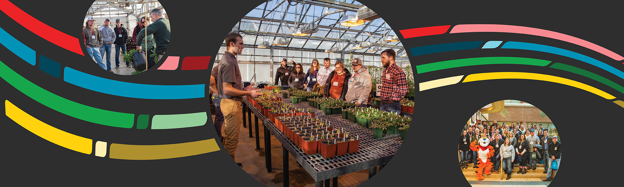 Graphical image with photo of Young Farmers learning inside MSU Greenhouse