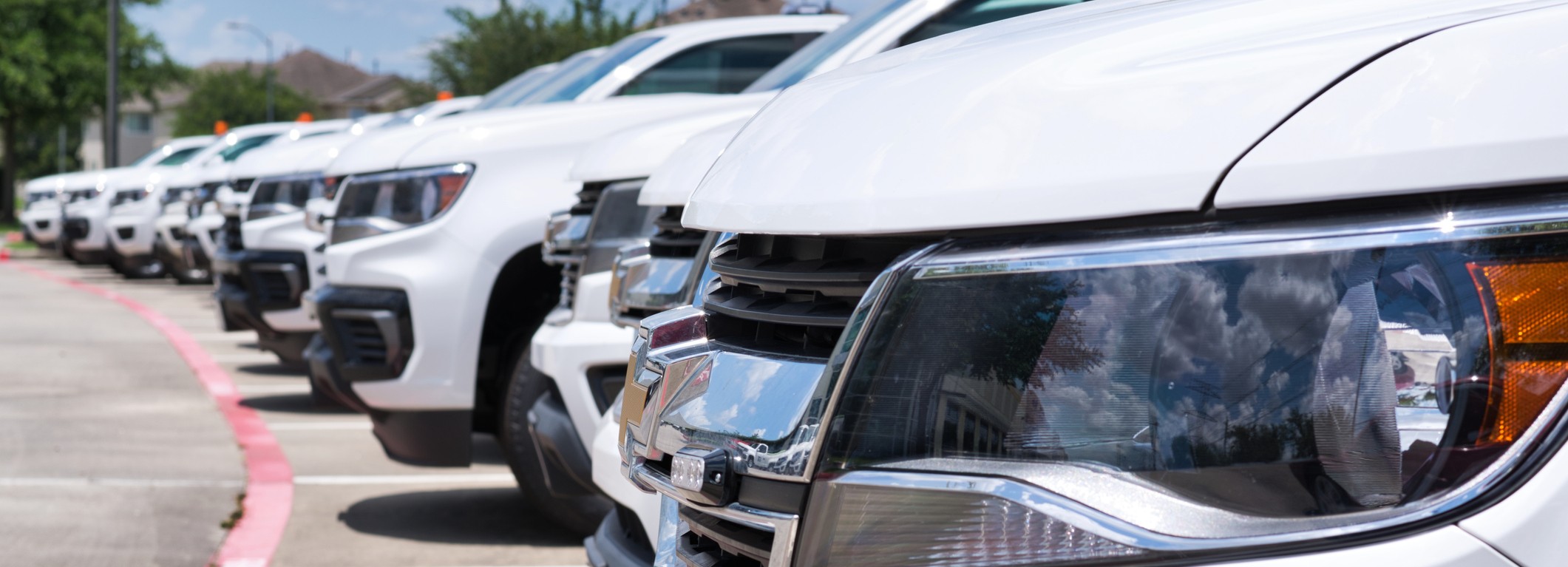 Domestic Commercial Fleet Vehicles