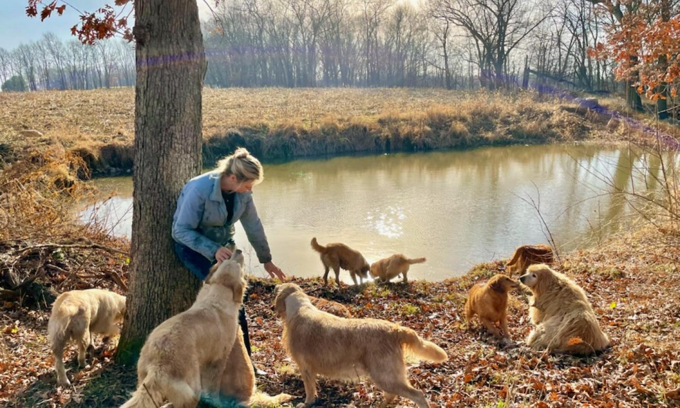 Heather Williams and Golden Retrievers