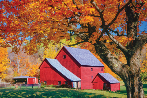 red barn in autumn