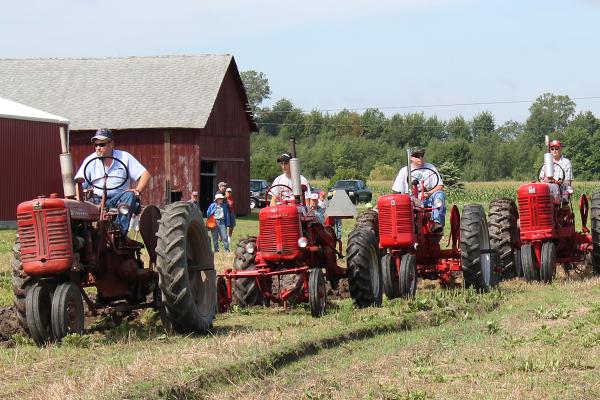Tractors in field