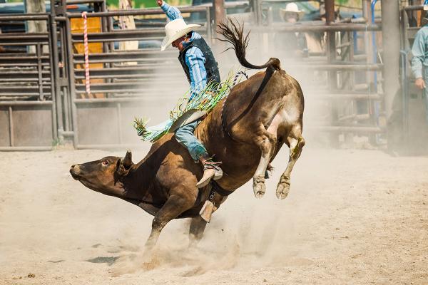 Bullriding