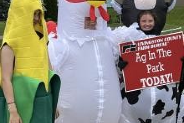 Kids in animal costumes