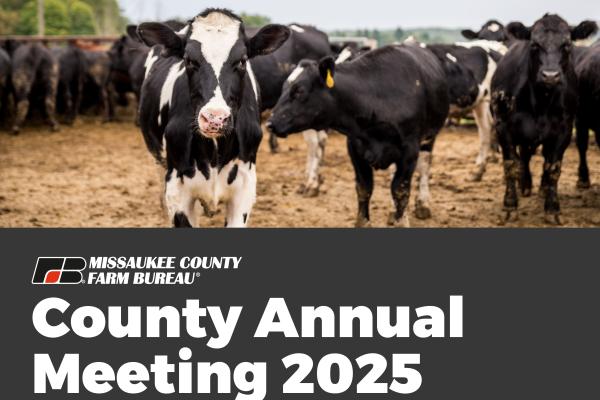 Missaukee County Annual