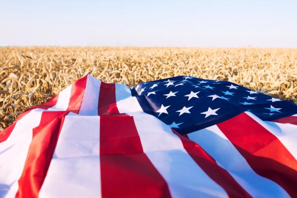 Flag over field.