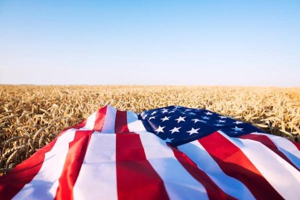 flag wheat