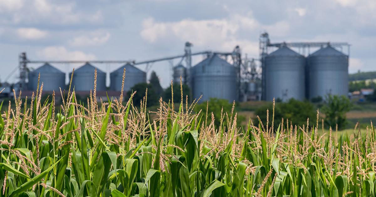 Emerging Issue Foreign Ownership of Agricultural Land Michigan Farm