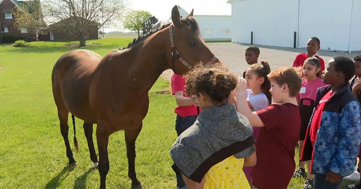 TV coverage of Saginaw RED highlights how to use your state FB staff Michigan Farm Bureau