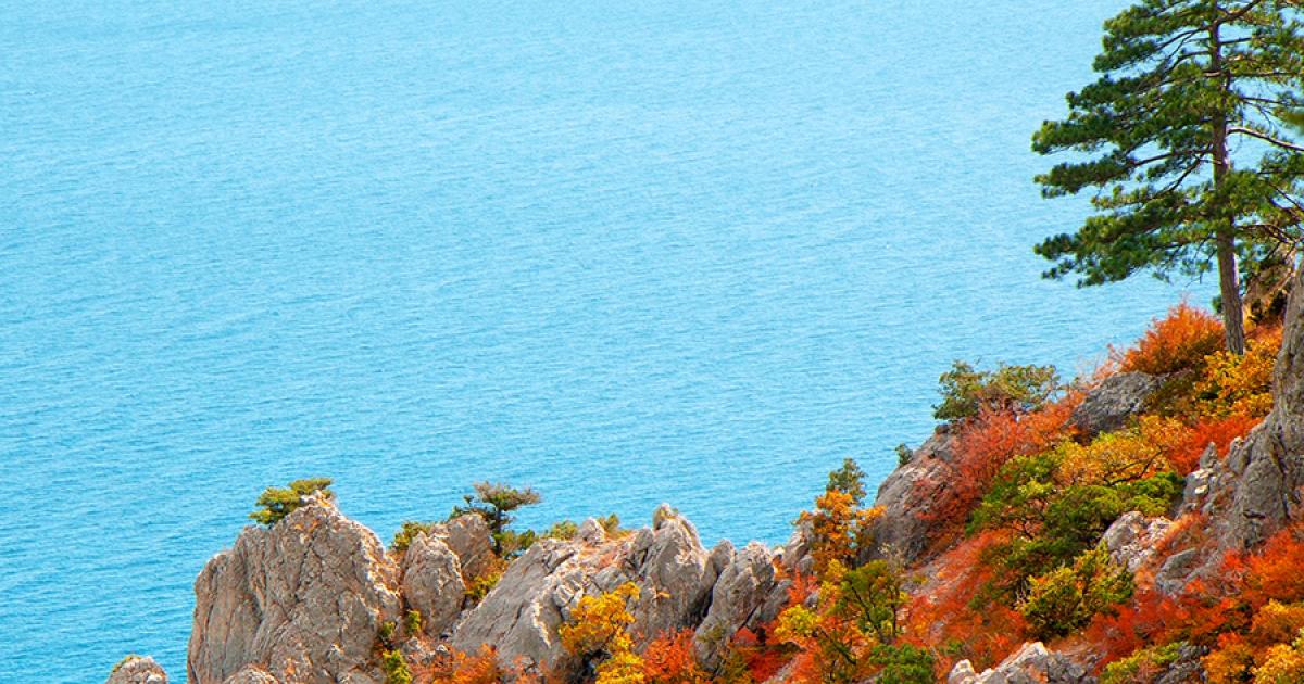 Take in Michigan’s fall colors with exclusive savings Michigan Farm