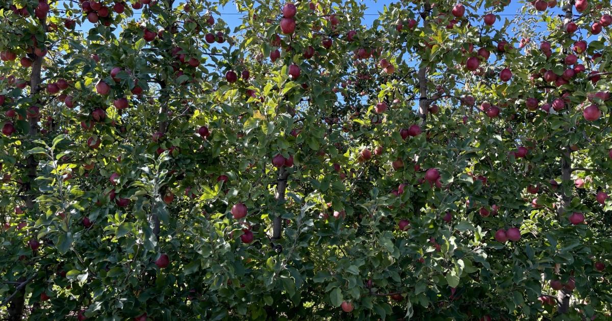 Take a Field Trip to the Fruit Ridge Michigan Farm Bureau Family of