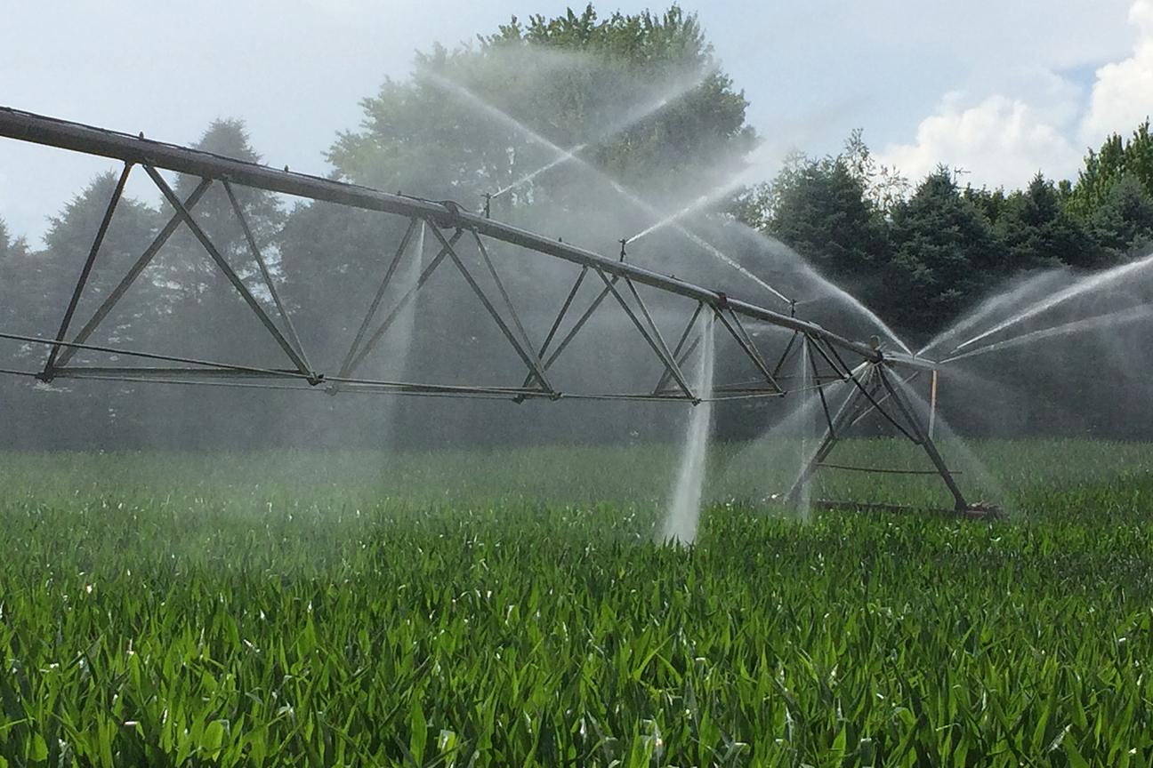 A pivoting irrigation system operating in a field.