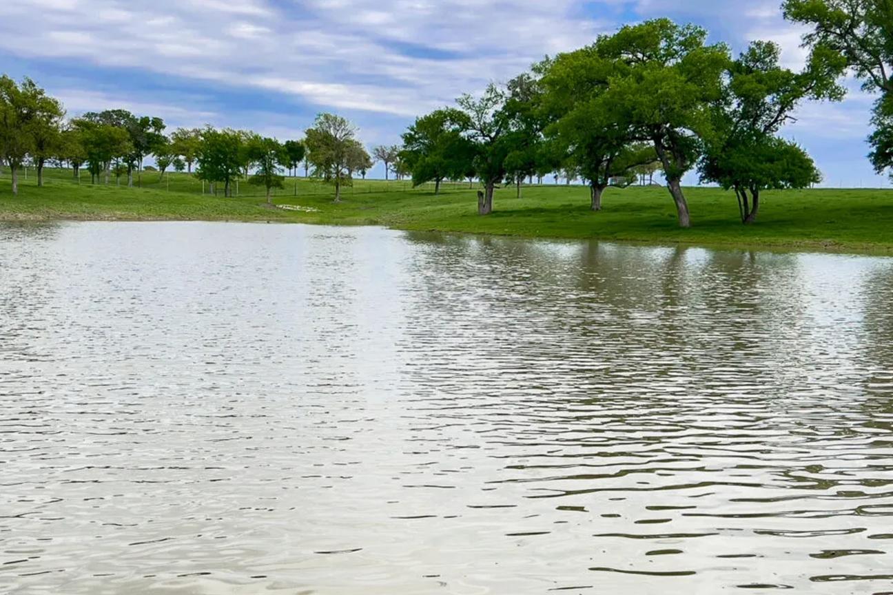 Wide shot of a large body of standing water in a field.