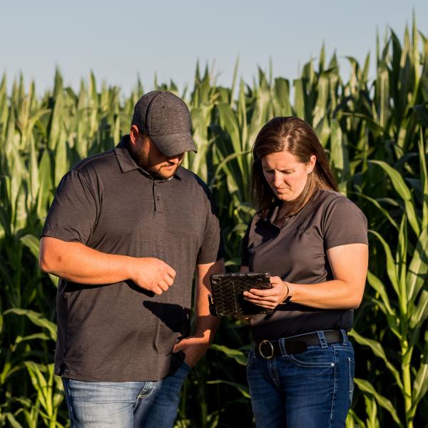 Man and woman look at ipad while out in cornfield