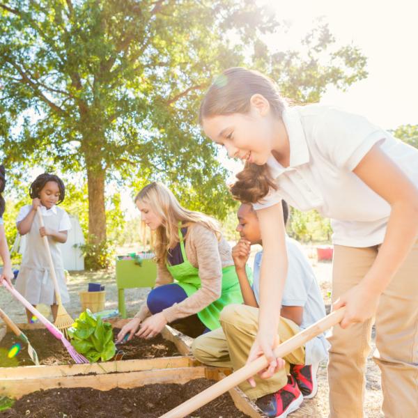 A teacher and kids tend to a raised garden