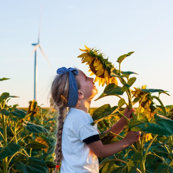 A young girl smells a sunflower