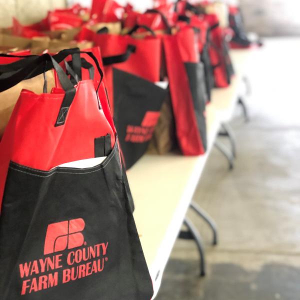 Red teacher bags with WCFB logo