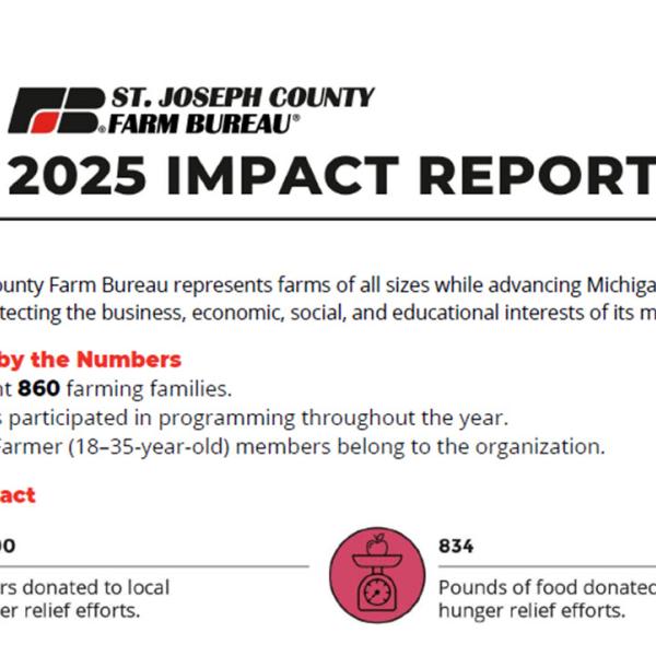 Impact report header