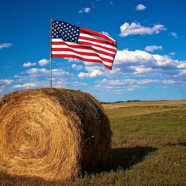 Wide shot of an American flag stuck in a round hay bale in a field.
