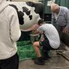 Students milking Kaycee at the 2026 MiCareerQuest booth Picture Yourself in Agriculture.