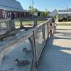 outside critter barn 3